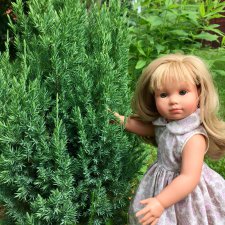 Их так редко показывают