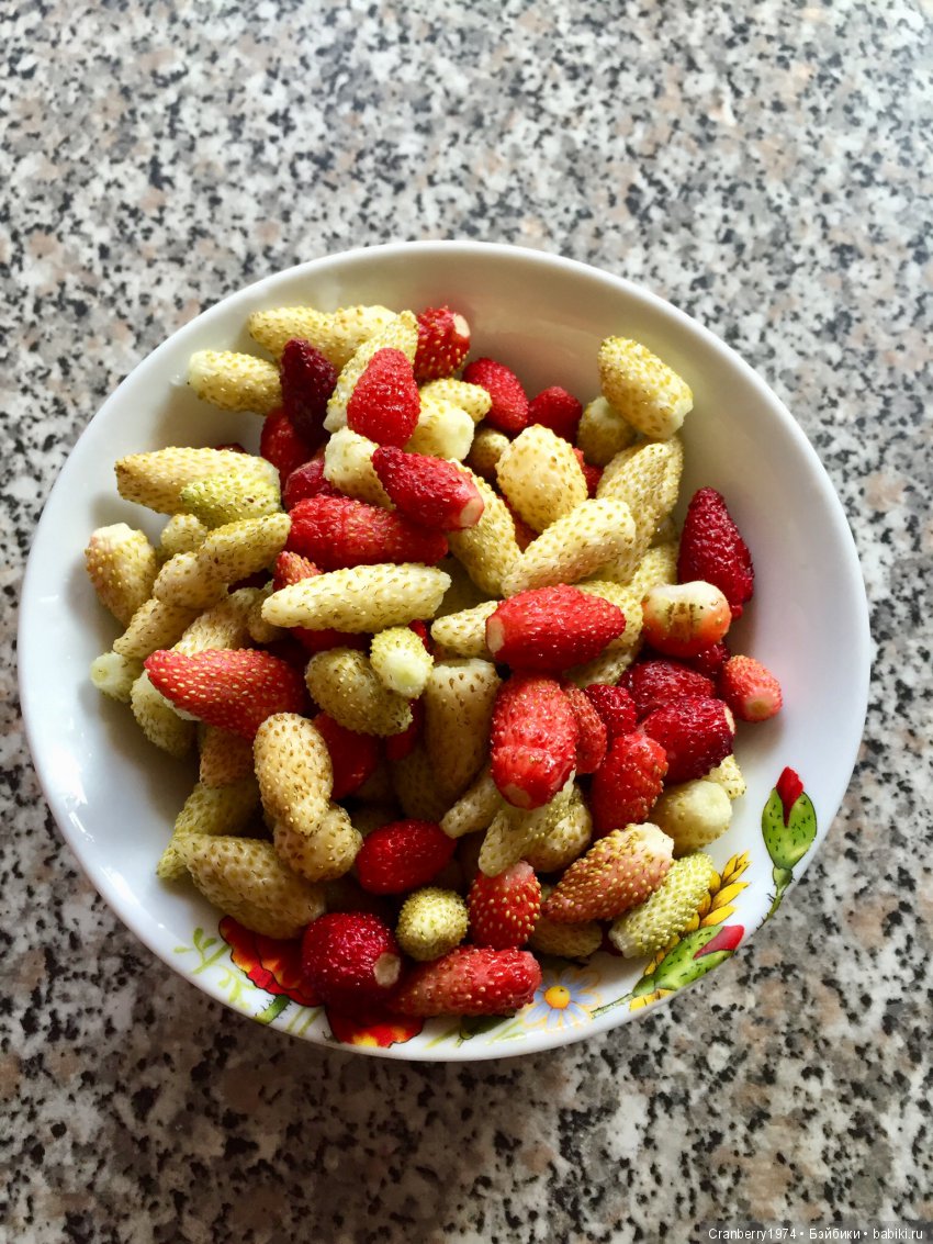 Цветы- роскошный дар природы | Бэйбики Цветы- роскошный дар природы