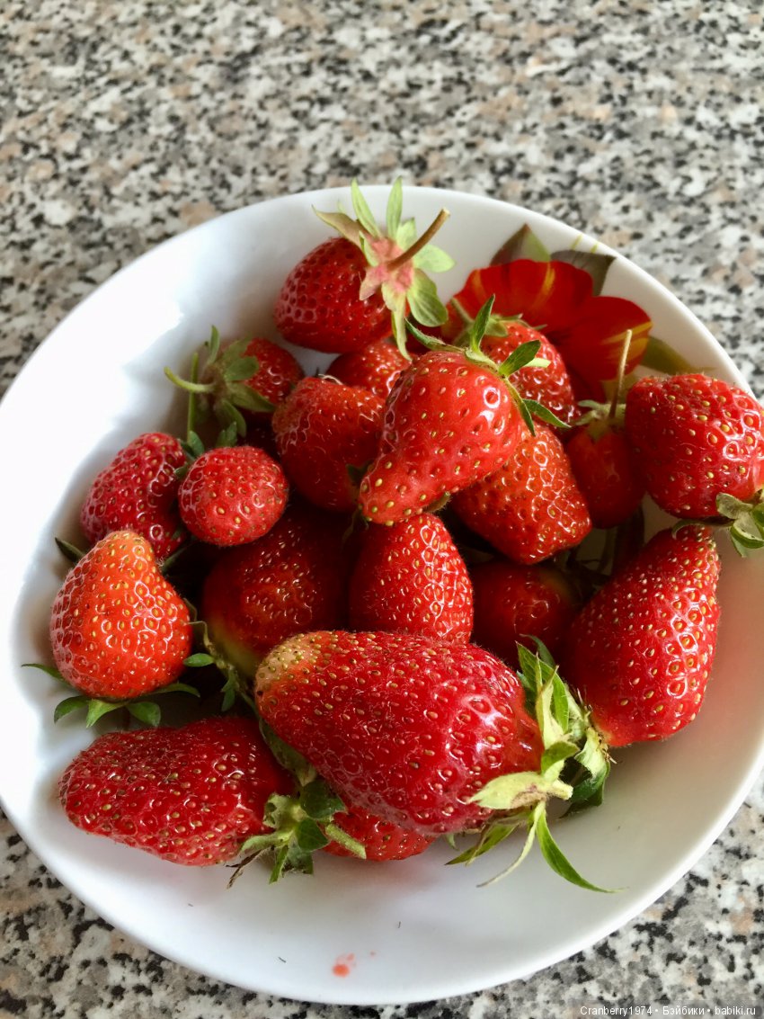 Цветы- роскошный дар природы | Бэйбики Цветы- роскошный дар природы