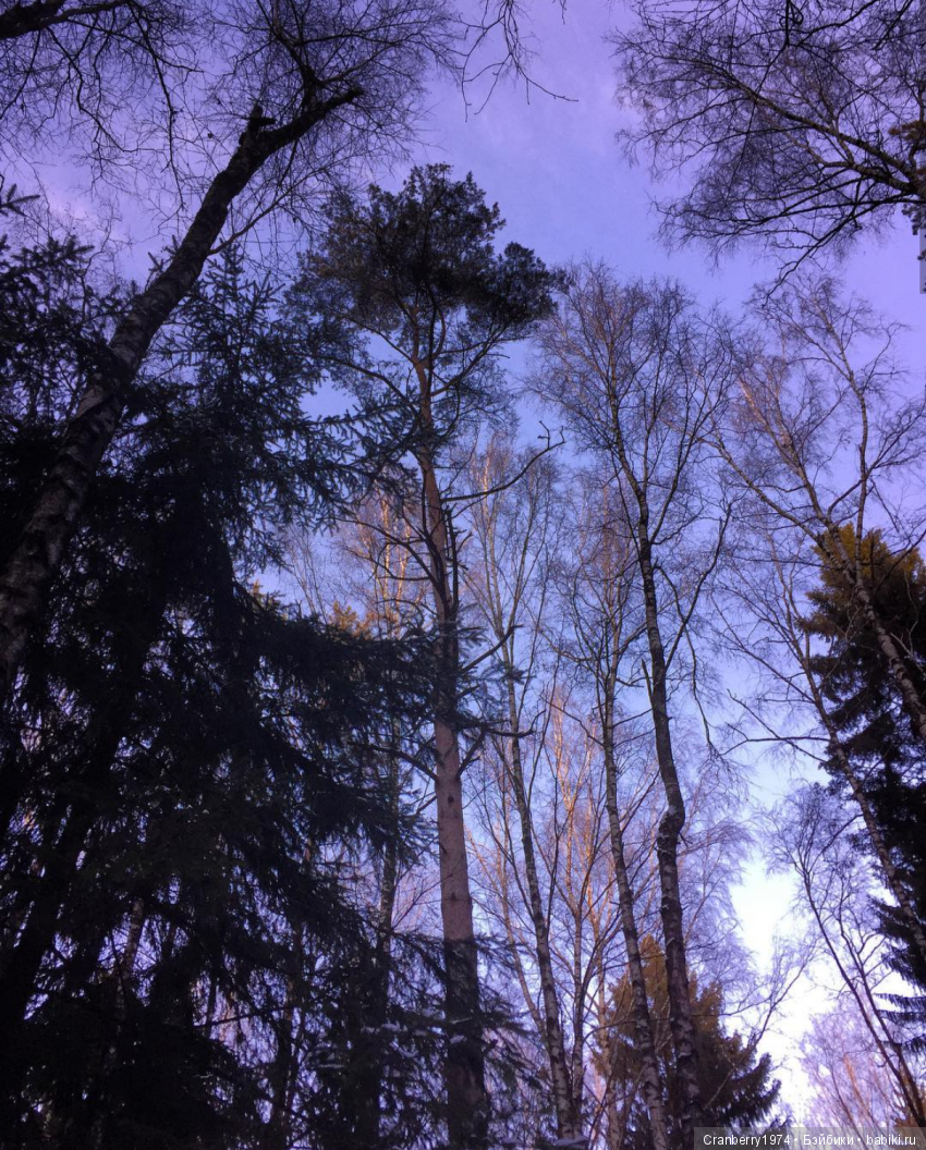 Просто очень красиво — Красивая природа и цветы: фото пейзажей (фото 3)