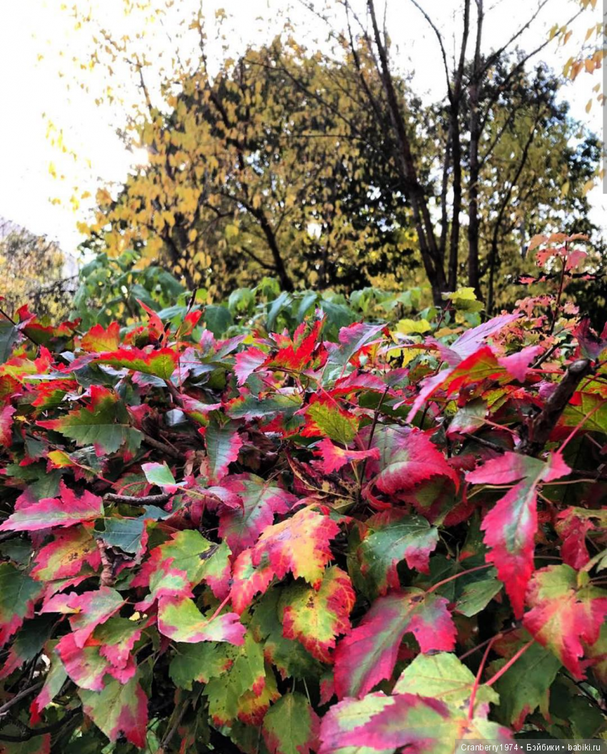 Просто очень красиво — Красивая природа и цветы: фото пейзажей (фото 4)