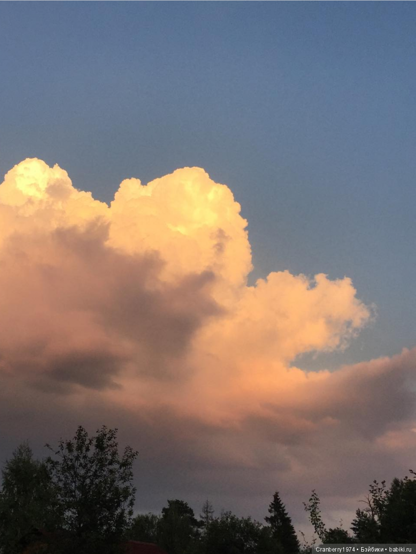 Просто очень красиво — Красивая природа и цветы: фото пейзажей (фото 8)