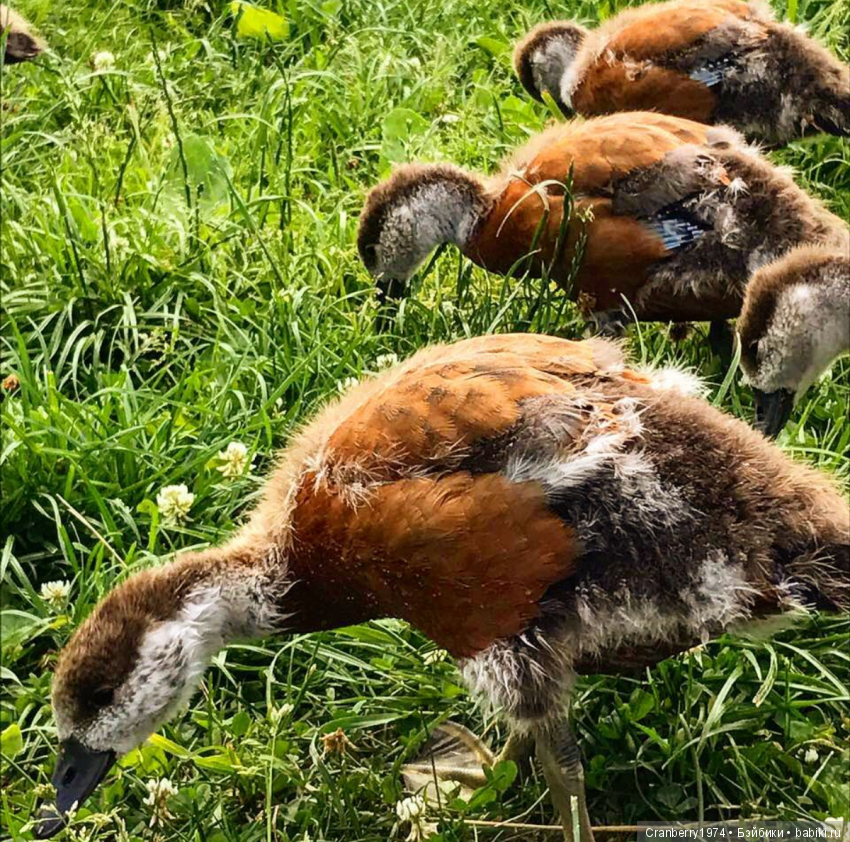 Просто очень красиво — Красивая природа и цветы: фото пейзажей