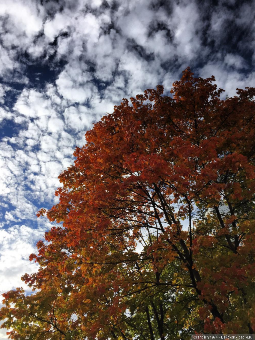 Просто очень красиво — Красивая природа и цветы: фото пейзажей (фото 7)