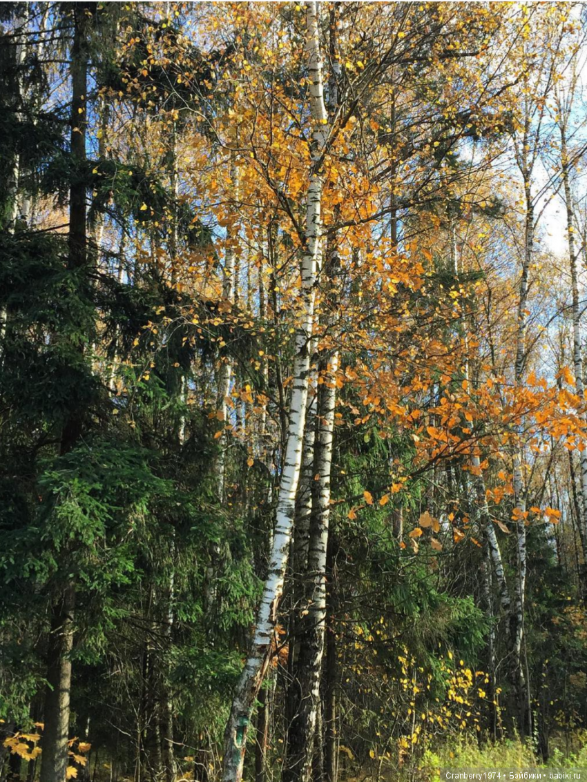 Просто очень красиво — Красивая природа и цветы: фото пейзажей