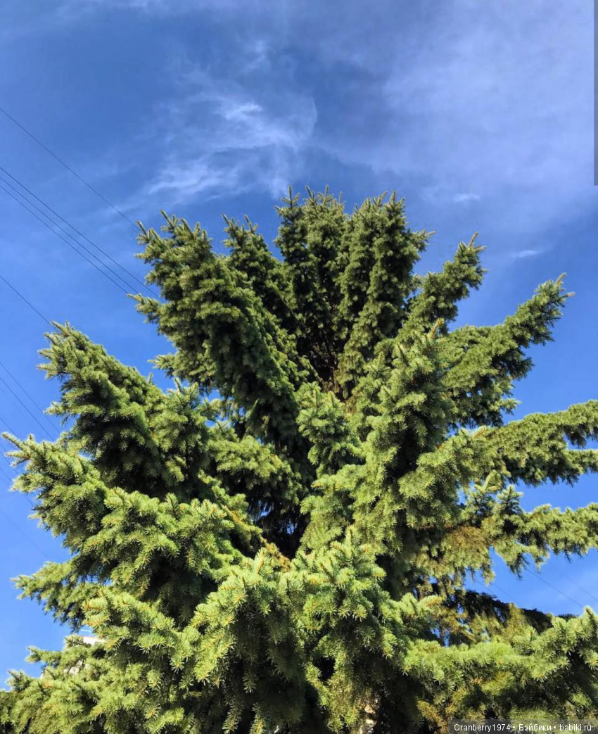 Просто очень красиво — Красивая природа и цветы: фото пейзажей (фото 6)