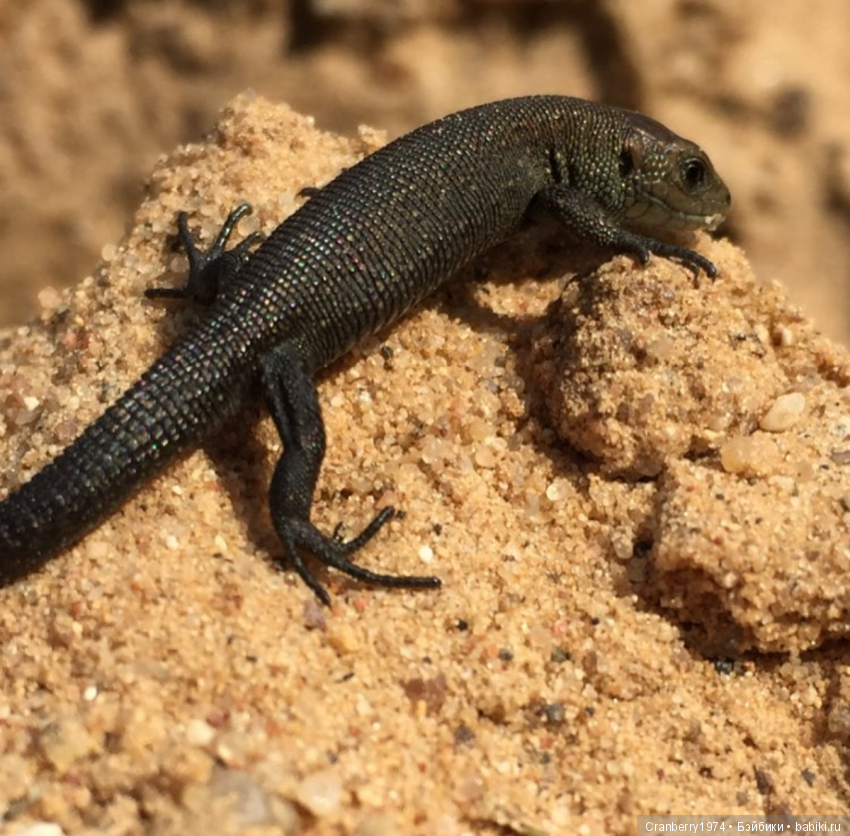 Просто очень красиво — Красивая природа и цветы: фото пейзажей