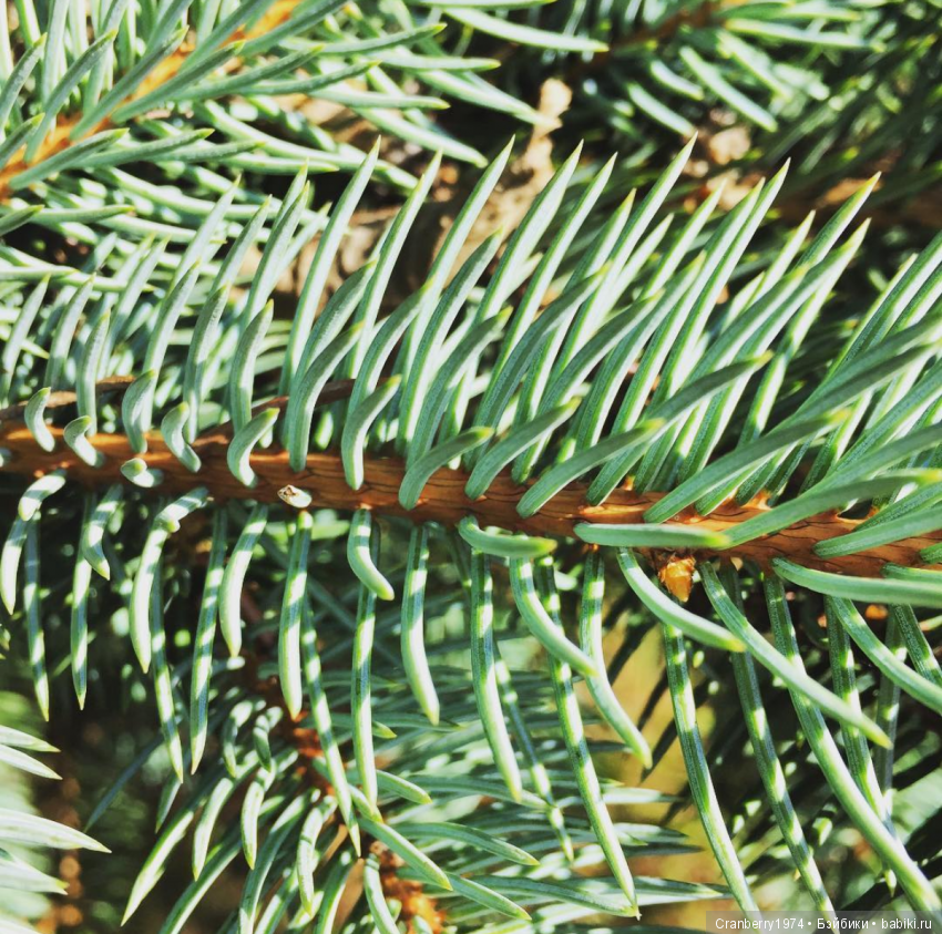 Просто очень красиво — Красивая природа и цветы: фото пейзажей