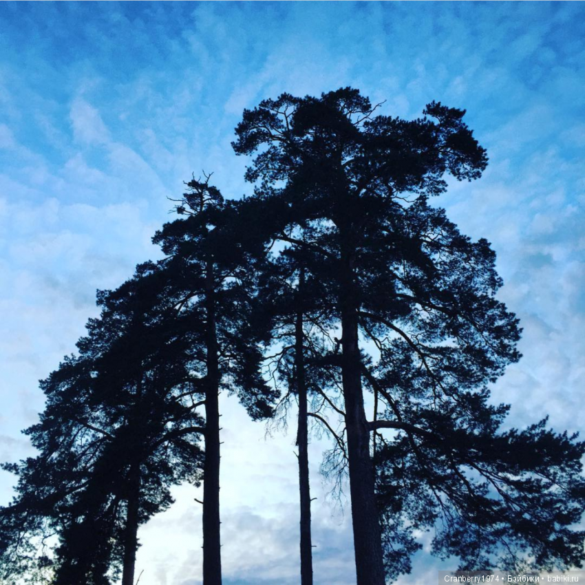 Просто очень красиво — Красивая природа и цветы: фото пейзажей