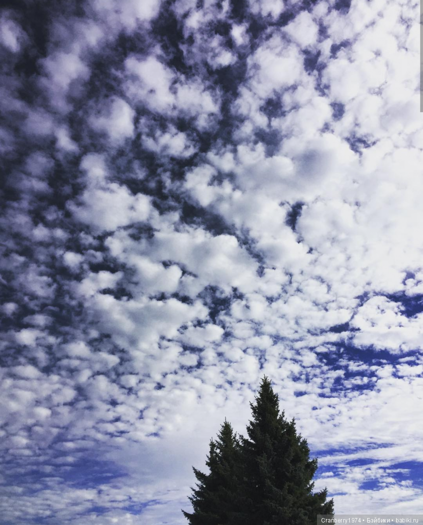 Просто очень красиво — Красивая природа и цветы: фото пейзажей