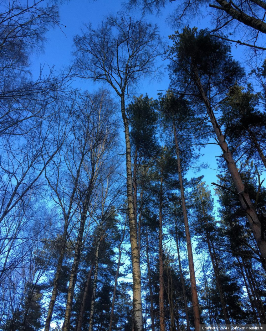 Просто очень красиво — Красивая природа и цветы: фото пейзажей (фото 2)