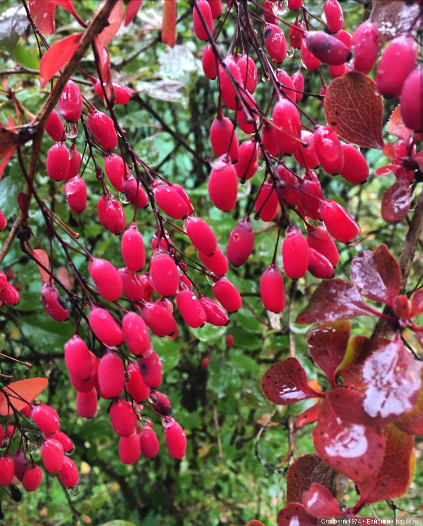 Просто очень красиво — Красивая природа и цветы: фото пейзажей (фото 9)