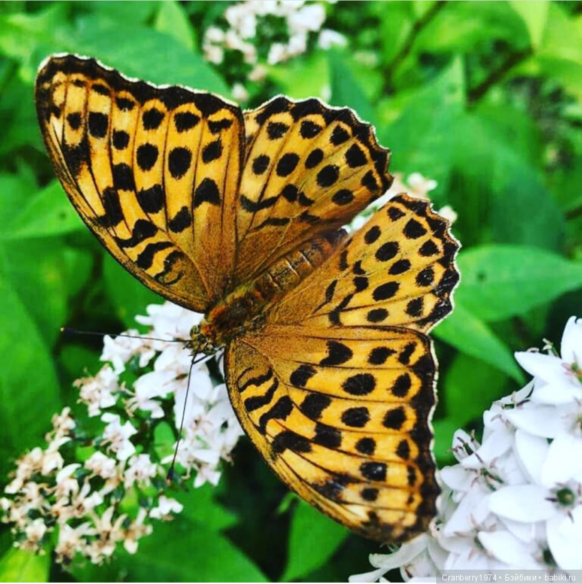 Просто очень красиво — Красивая природа и цветы: фото пейзажей