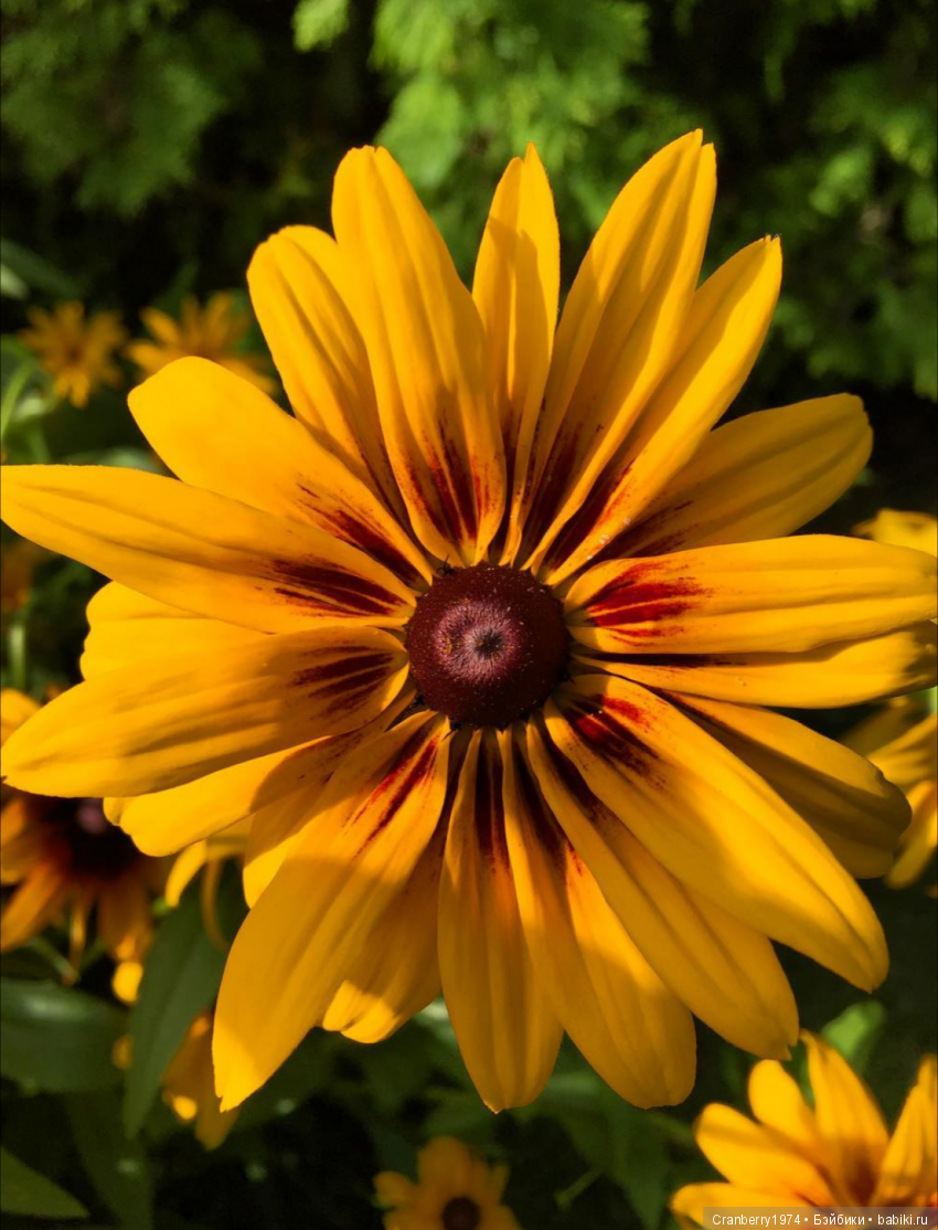 Просто очень красиво — Красивая природа и цветы: фото пейзажей (фото 10)