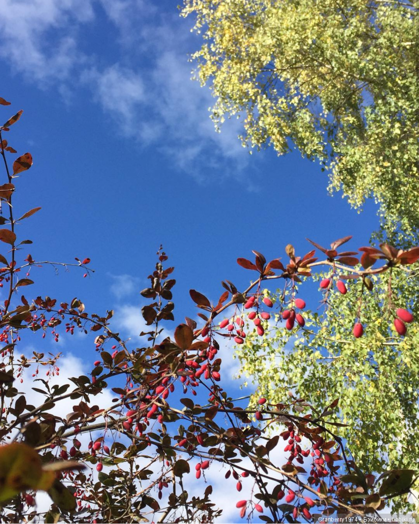 Небосклон — Красивая природа и цветы: фото пейзажей