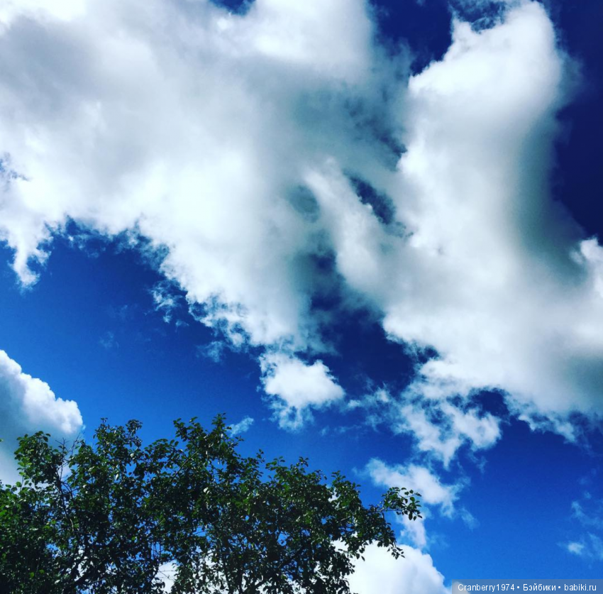 Небосклон — Красивая природа и цветы: фото пейзажей (фото 9)