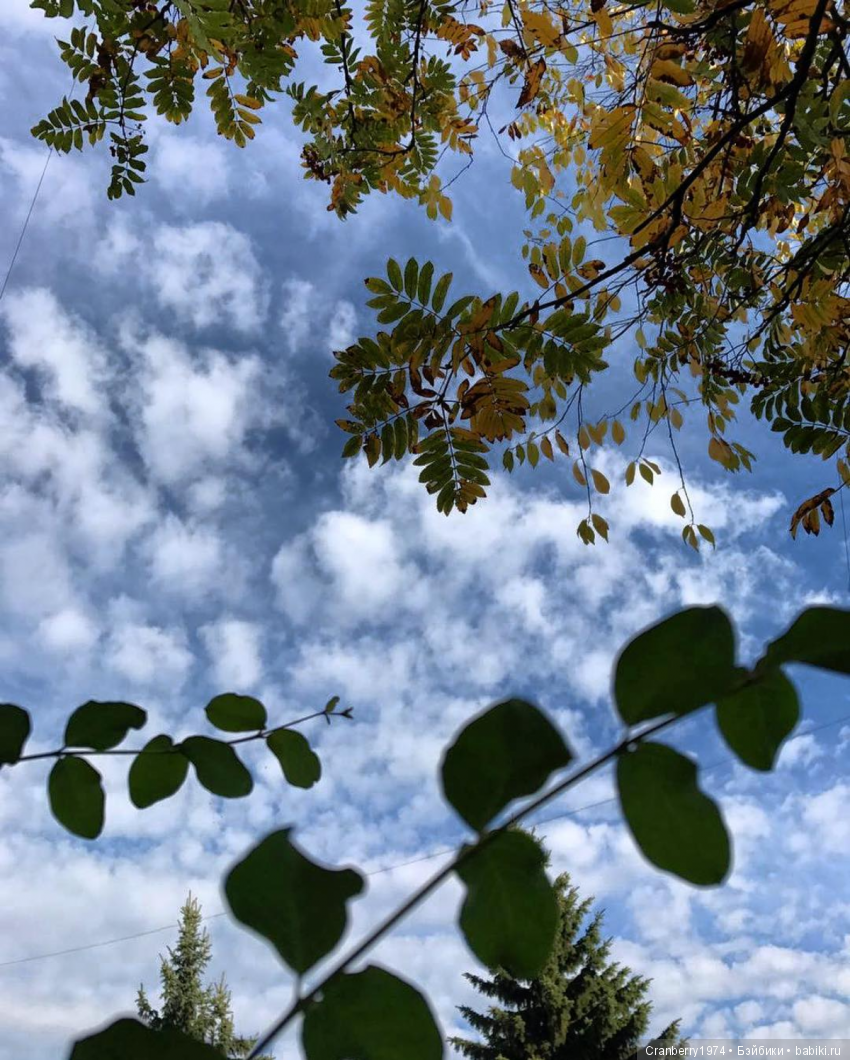 Небосклон — Красивая природа и цветы: фото пейзажей (фото 2)