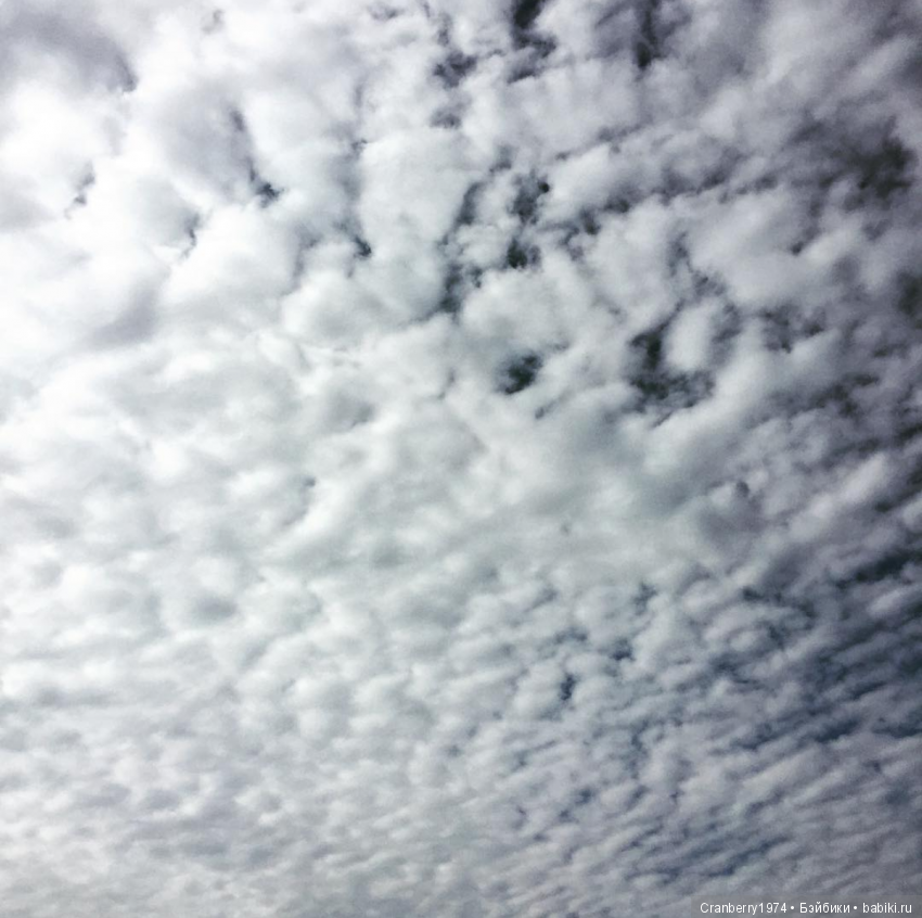 Небосклон — Красивая природа и цветы: фото пейзажей (фото 7)