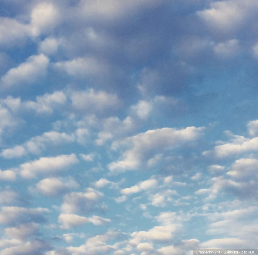 Небосклон — Красивая природа и цветы: фото пейзажей (фото 6)