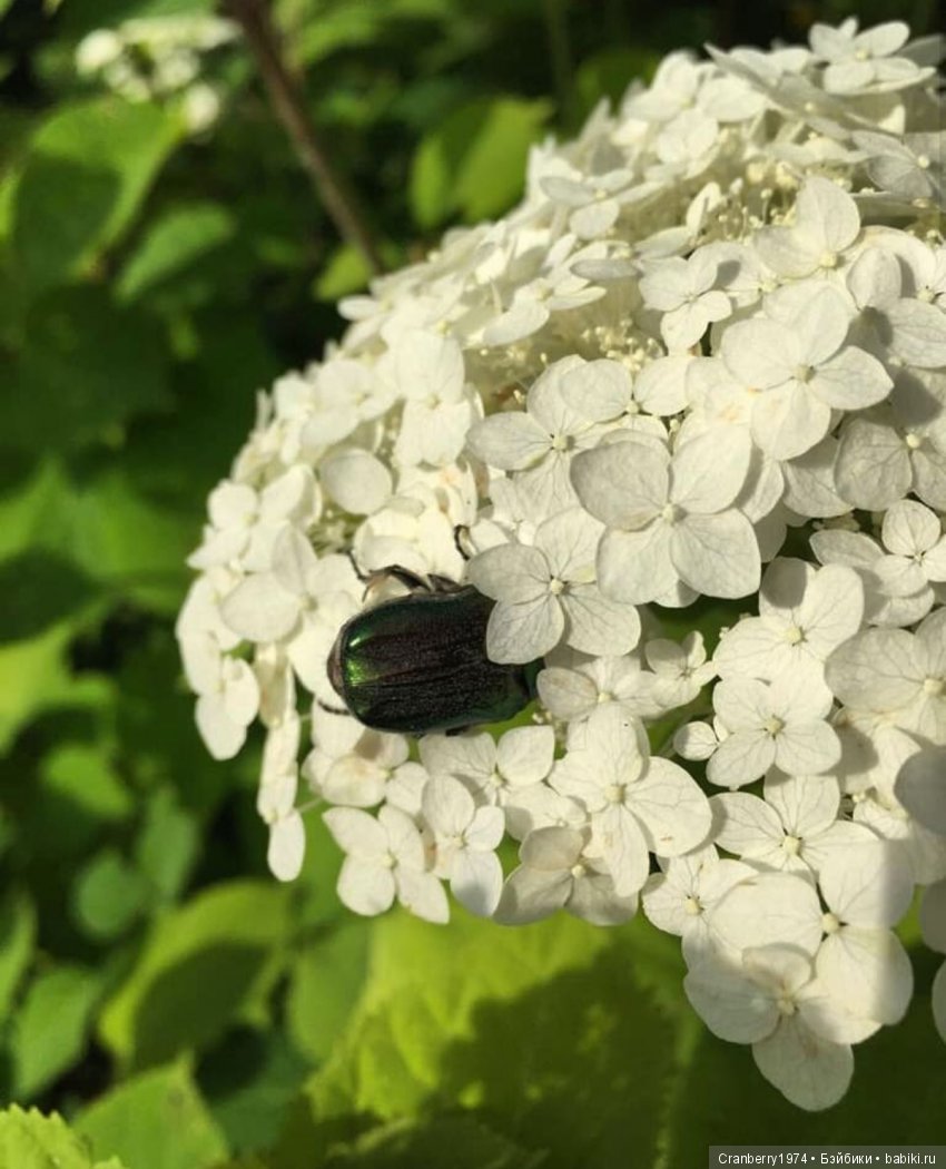 Просто очень красиво! Часть 2 (фото 6)