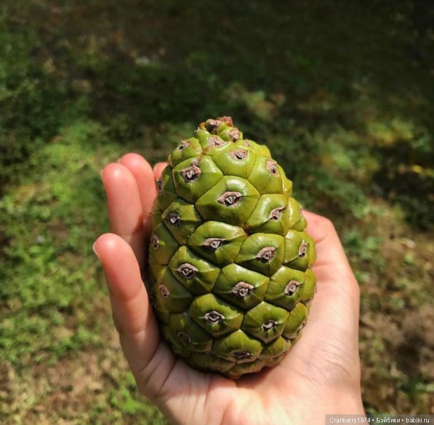 Просто очень красиво! Часть 2 (фото 3)