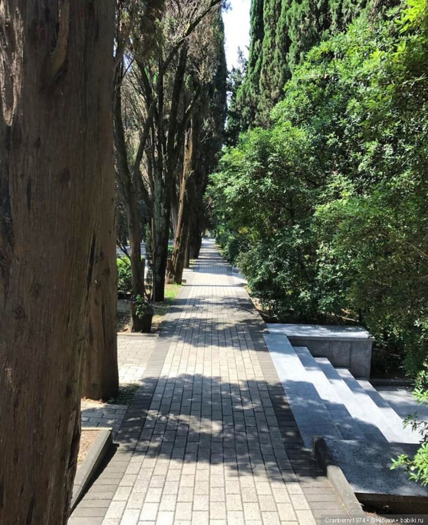 Просто очень красиво! Часть 2 (фото 5)