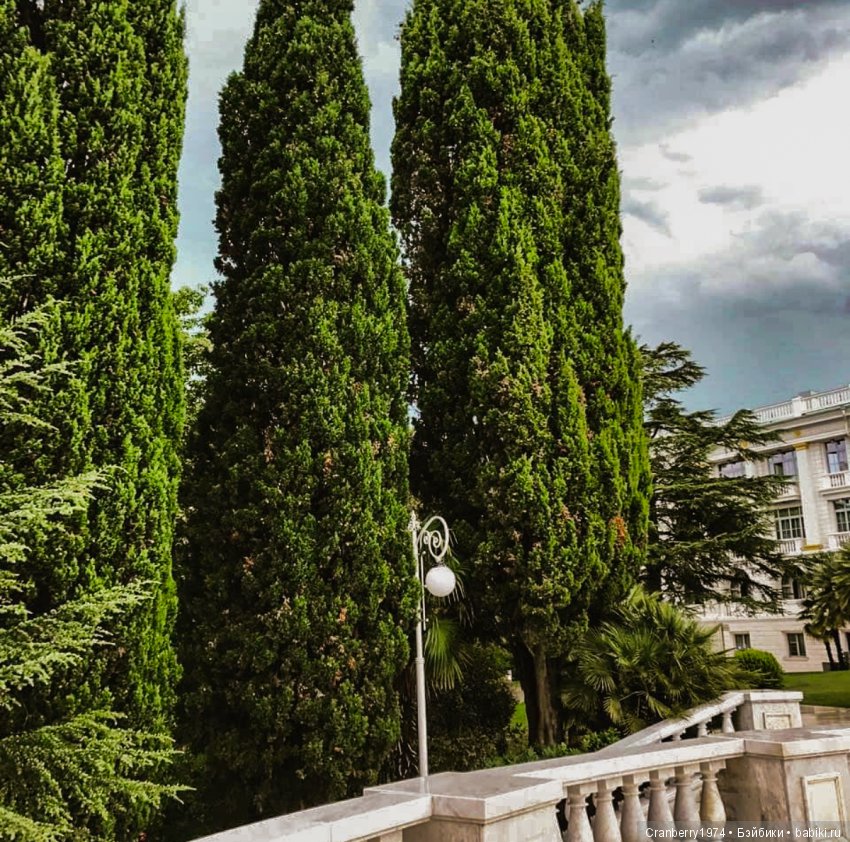 Просто очень красиво! Часть 2 (фото 7)