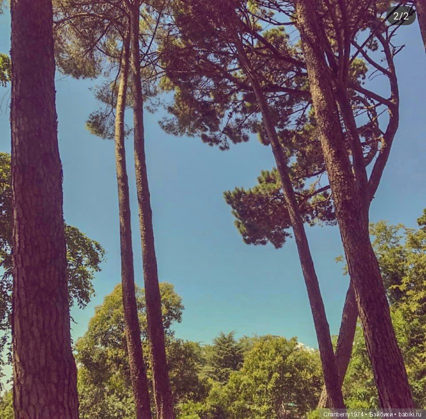 Просто очень красиво! Часть 2 (фото 8)