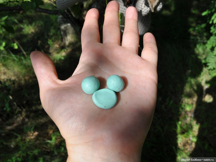 Вязаные игрушки и амигуруми: крючком