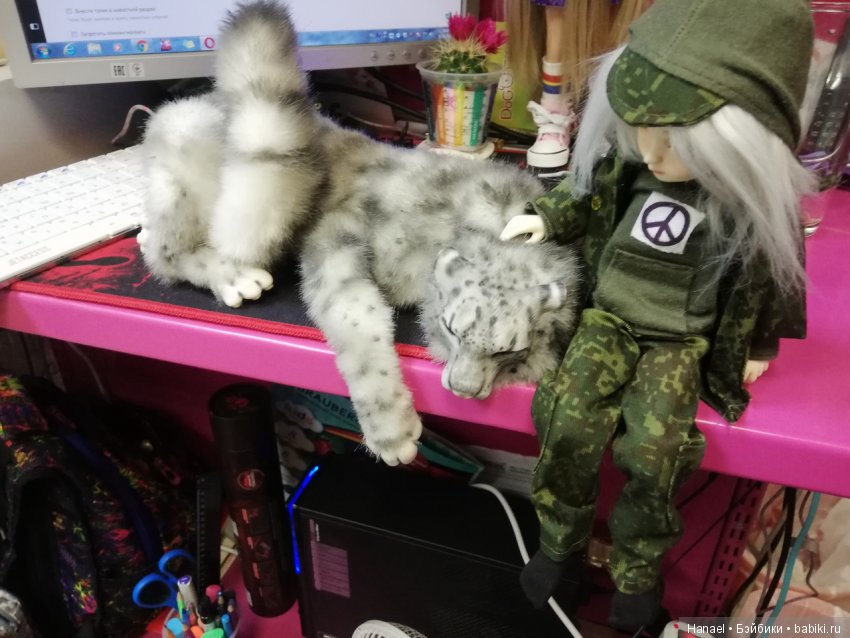 Разные новости. Ждём ещё одну, а пока покажемся и подумаем волшебная ли страна - Бэйбики