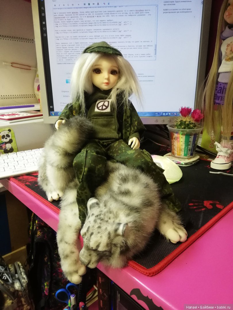 Разные новости. Ждём ещё одну, а пока покажемся и подумаем волшебная ли страна - Бэйбики