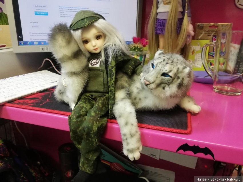 Разные новости. Ждём ещё одну, а пока покажемся и подумаем волшебная ли страна - Бэйбики