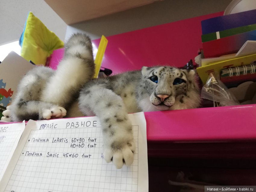 Разные новости. Ждём ещё одну, а пока покажемся и подумаем волшебная ли страна - Бэйбики