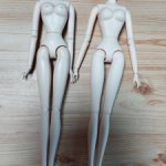 Лот из 2 тел 1/6