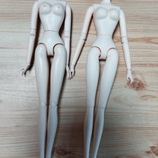 Лот из 2 тел 1/6