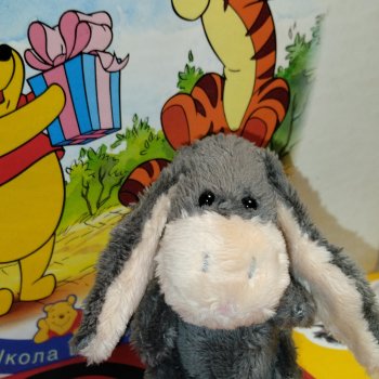 Пополнение, ослик Иа