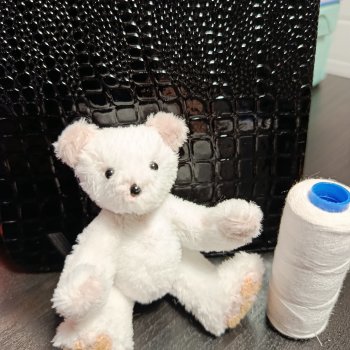 Немного о белом мишке