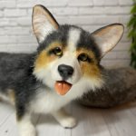 Корги от Софьи Ермиловой