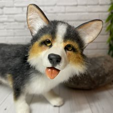 Корги от Софьи Ермиловой