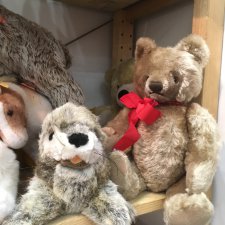 Хелло, Тедди 2018! Фоторепортаж