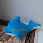Черноморский дельфин
