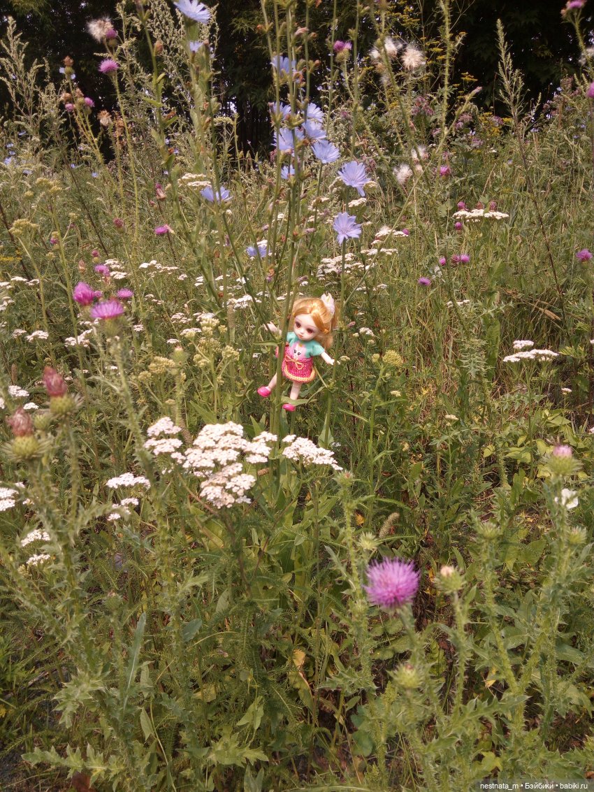 Долгая дорога за ботинками (фото 6)