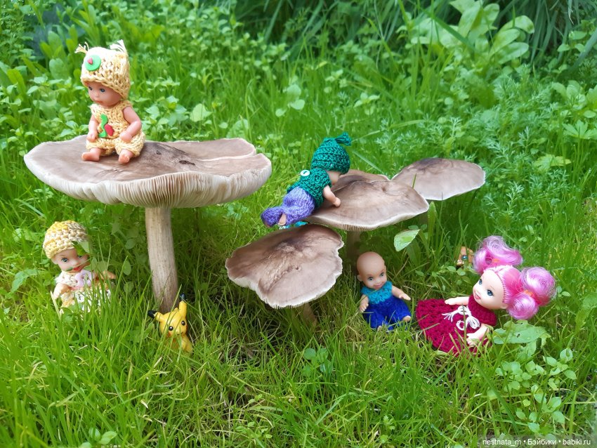Грибное утро — Игровые куклы разных производителей (Разное): редкие бренды (фото 7)
