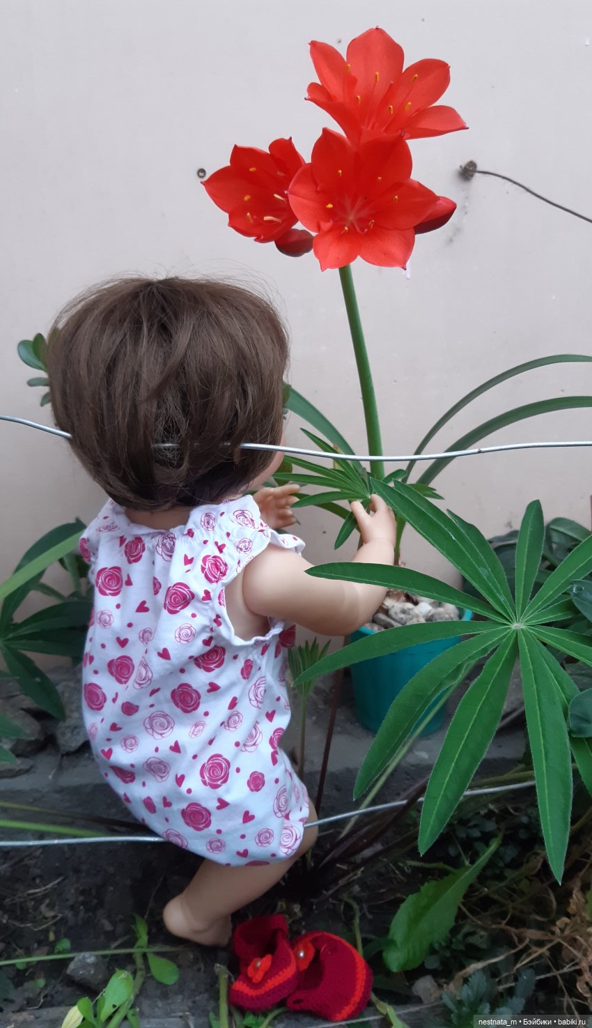Как Оля в баню собиралась