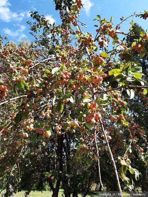Новенькая на прогулке — Куклы Baboliy (Баболи (фото 9)