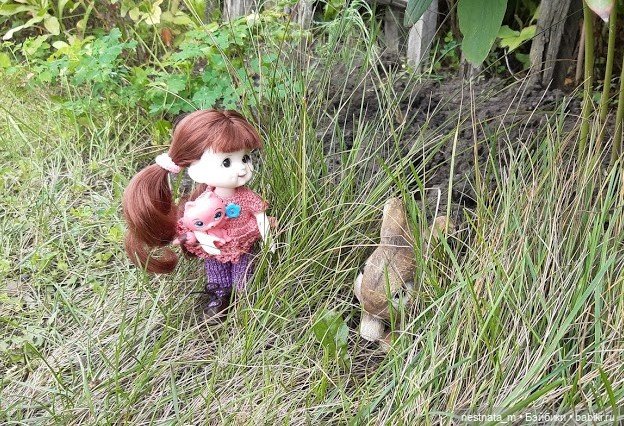 В огороде — Куклы Baboliy (Баболи