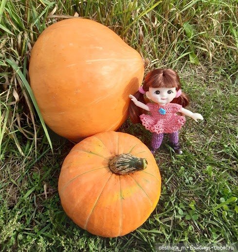 В огороде — Куклы Baboliy (Баболи (фото 3)