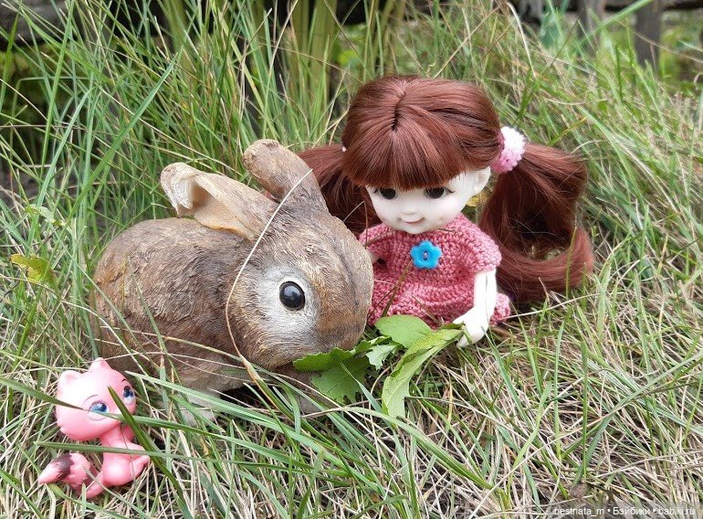 В огороде — Куклы Baboliy (Баболи