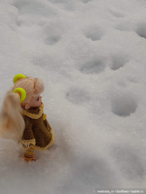 Как девчонки по снегу гуляли (фото 5)