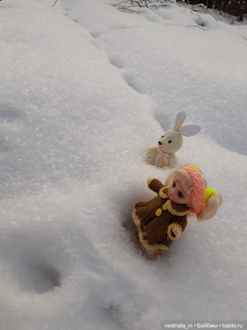 Как девчонки по снегу гуляли (фото 10)